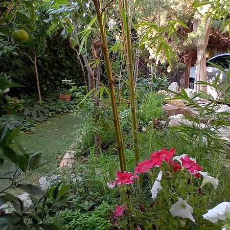 Apartamento Centrico En Villaviciosa de Odón מראה חיצוני תמונה